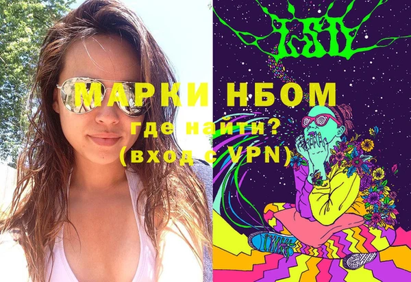 прущие грибы Михайлов