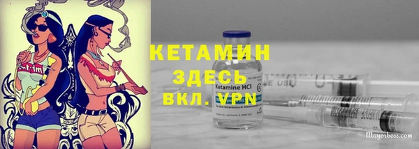 прущие грибы Михайлов
