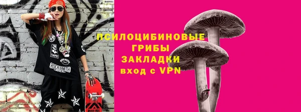 СК Михайловск
