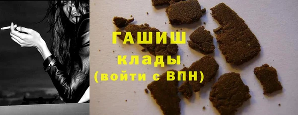 прущие грибы Михайлов