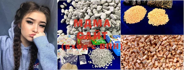 прущие грибы Михайлов