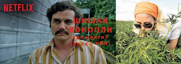 спайс Нея